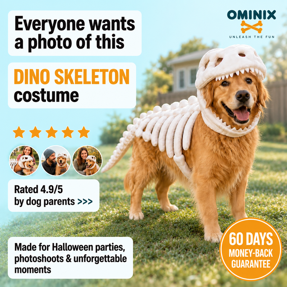 Apexmera™ Dinosaur Skeleton Dog Costume