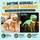 Apexmera™ Dinosaur Skeleton Dog Costume