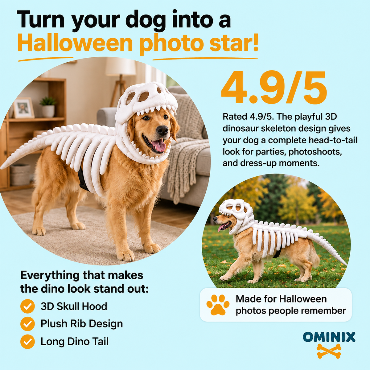 Apexmera™ Dinosaur Skeleton Dog Costume