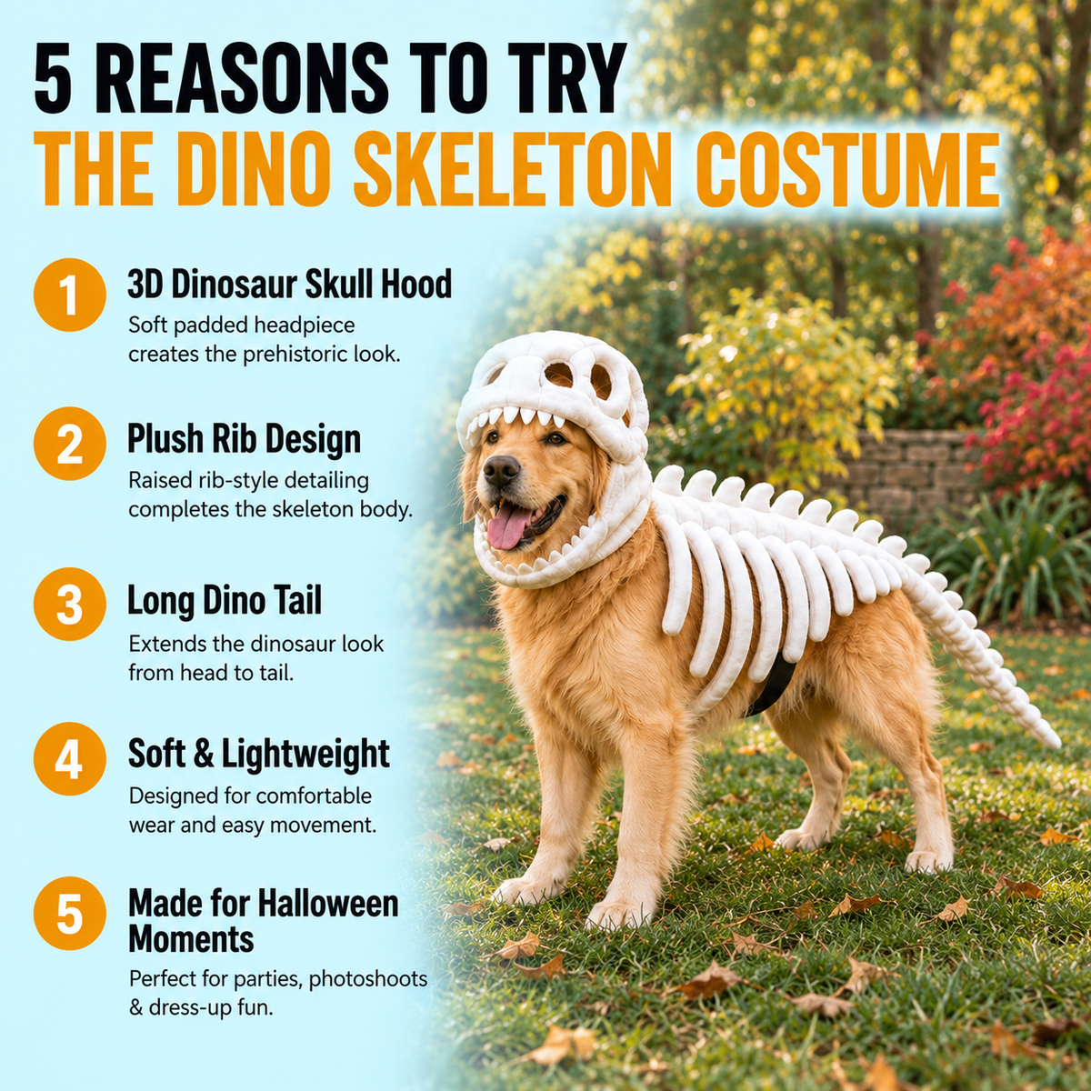 Apexmera™ Dinosaur Skeleton Dog Costume