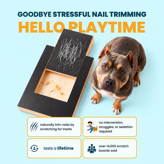 Wooden Dog Scratch Board Nail