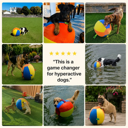 Apexmera Calming Jumbo Ball