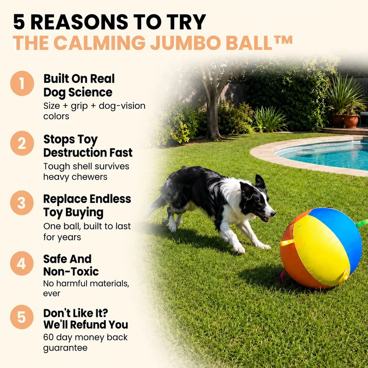 Apexmera Calming Jumbo Ball