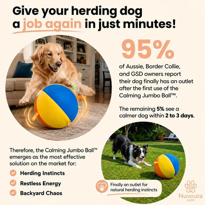 Apexmera Calming Jumbo Ball